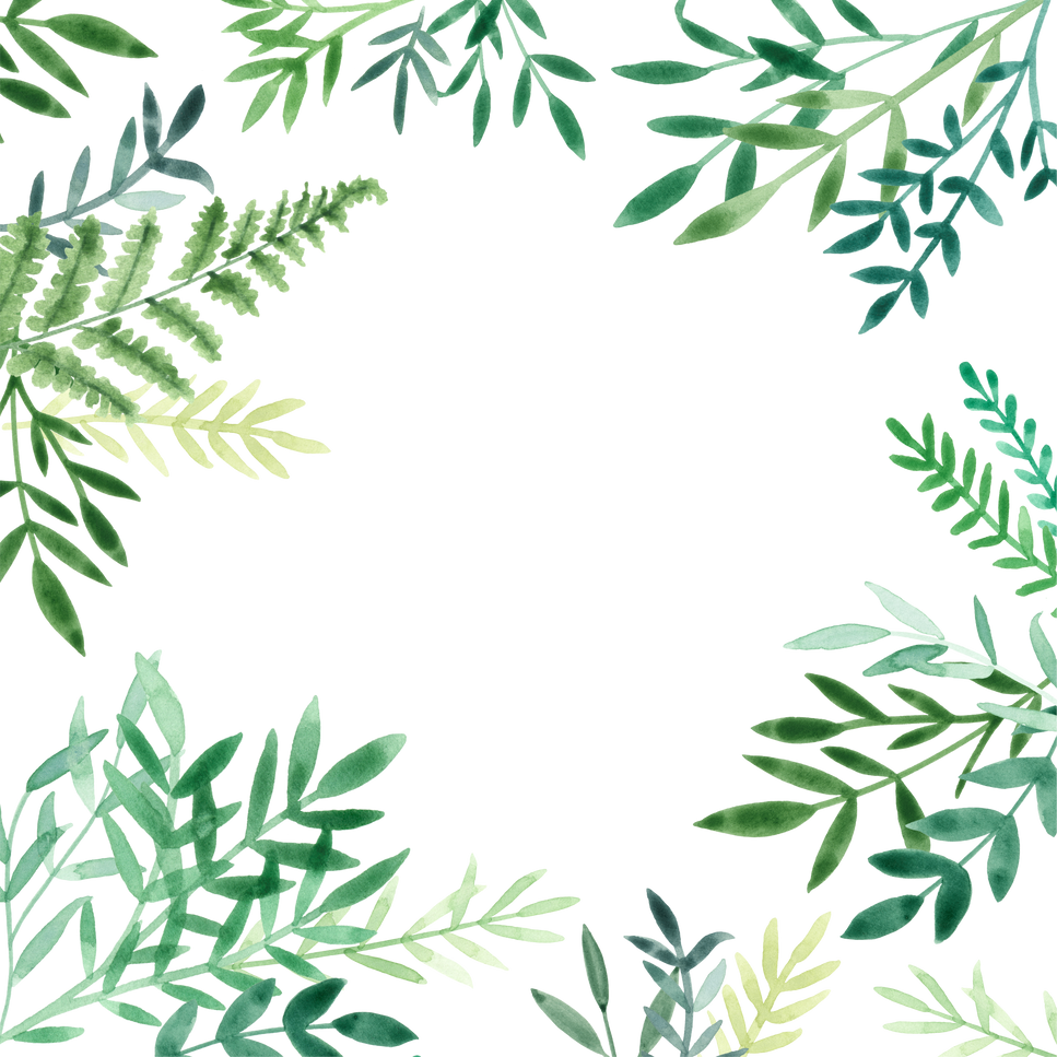 Square Green Greenery Leaf Tropical Fern Frame